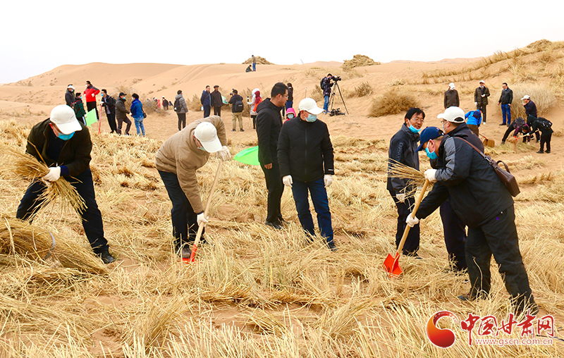 不“疫”樣的植樹節(jié)！甘肅省新聞戰(zhàn)線工作者攜手播綠“八步沙”（圖+視頻）