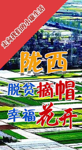 【走向我們的小康生活】長圖|隴西：脫貧摘帽 幸?；ㄩ_