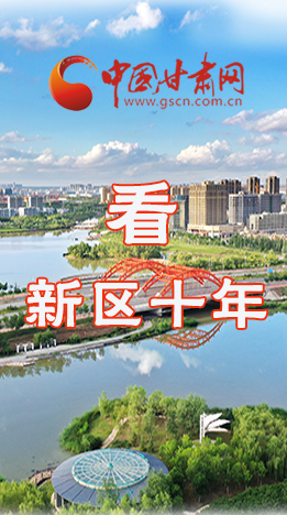 圖解|崛起！新區(qū)十年