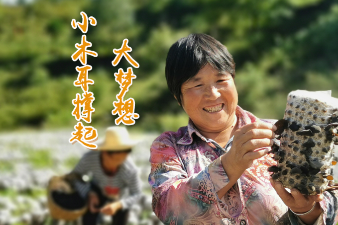 海報(bào)丨他們，乘“豐”破浪！