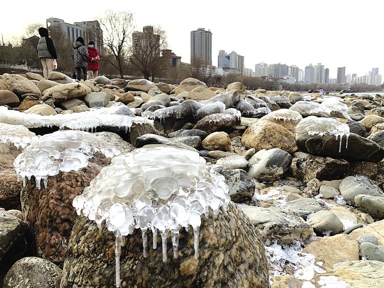 蘭州：水母上河灘？