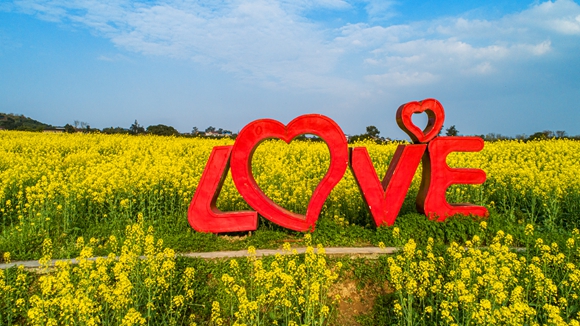 “l(fā)ove”創(chuàng)意拍照墻。廖濤 攝