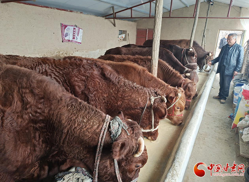 平?jīng)鰶艽ǎ骸芭！碑a(chǎn)業(yè)鋪就致富路