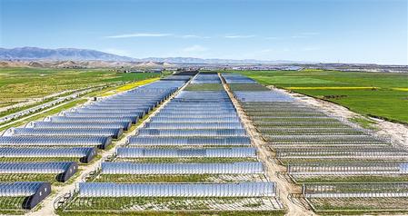 武威天?？h松山鎮(zhèn)德吉新村秀珍菇科技產(chǎn)業(yè)園初具規(guī)模