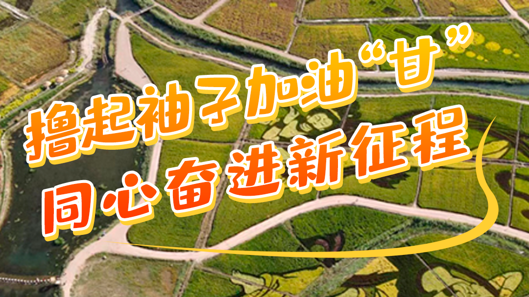 微海報|學(xué)報告 悟精神 擼起袖子加油“甘” 同心奮進(jìn)新征程（五）