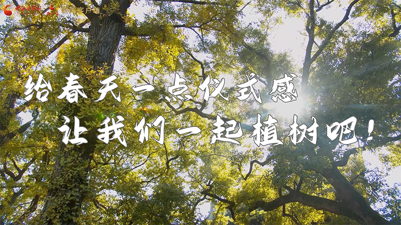 短視頻|給春天一點儀式感，讓我們一起植樹吧！