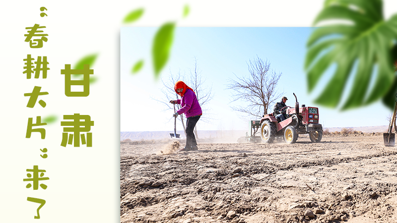 【甘快看】海報|瞧！甘肅“春耕大片”來了