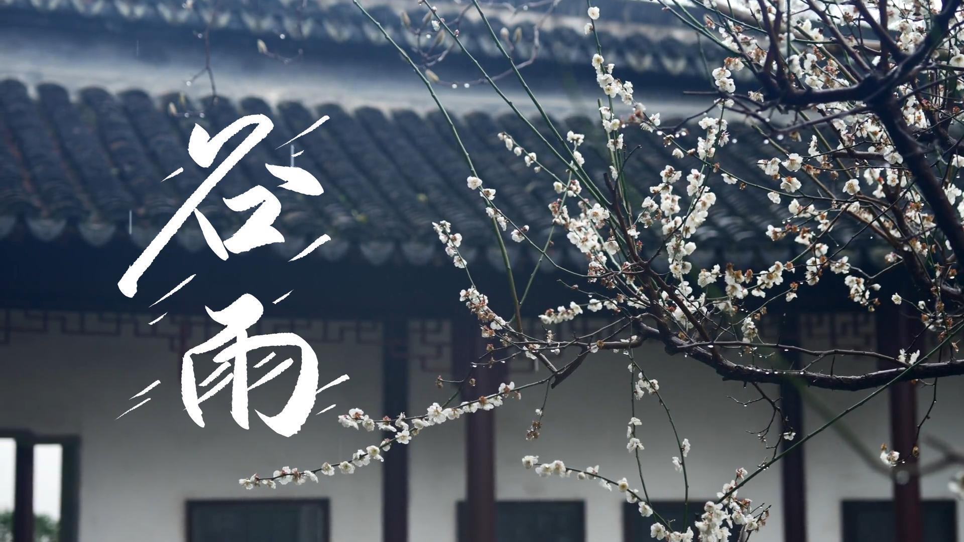 【節(jié)氣里的大美甘肅】谷雨，春天的最后一次回眸