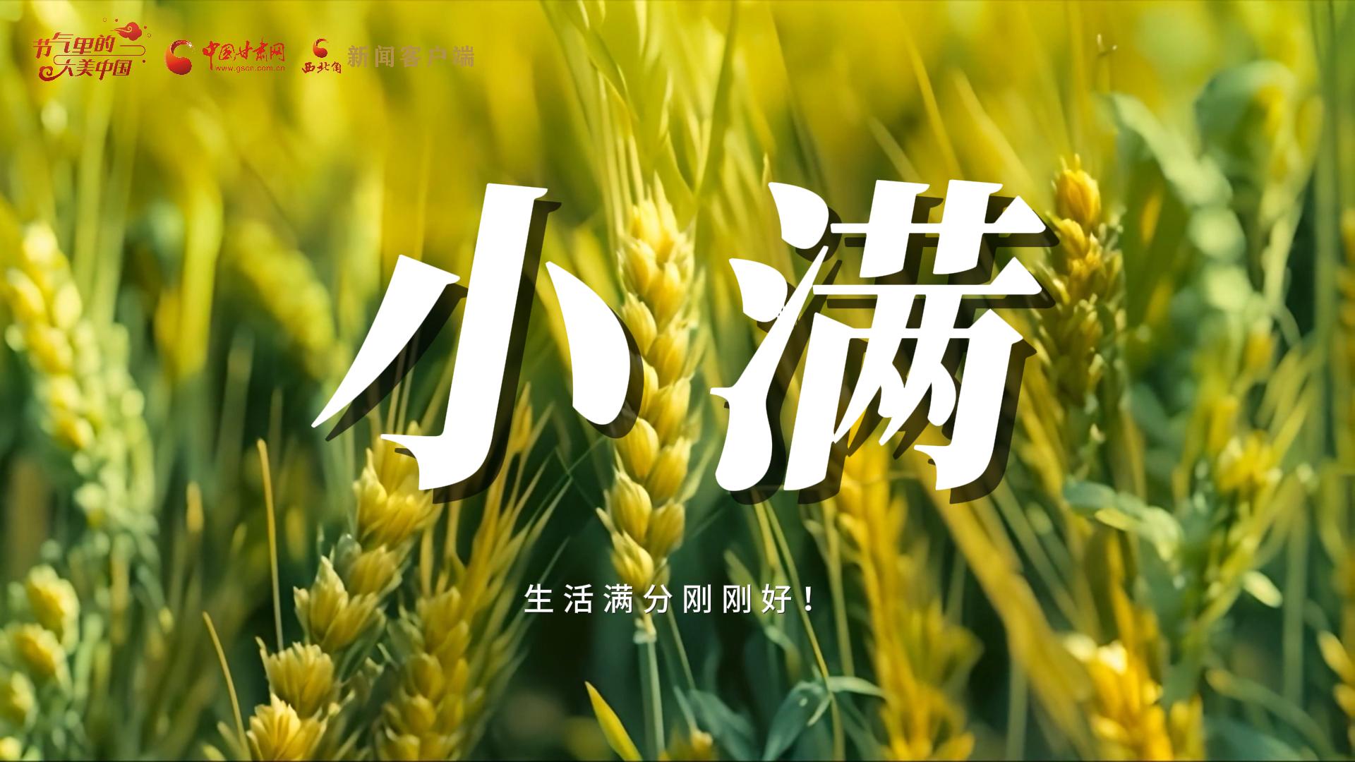 【節(jié)氣里的大美甘肅·小滿】生活滿分剛剛好！