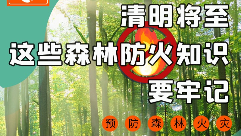 【甘快看】圖解|緊繃“安全弦”！清明，這些森林防火知識要牢記