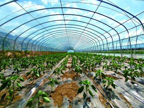 榆中縣解鎖現(xiàn)代農(nóng)業(yè)新質(zhì)生產(chǎn)力