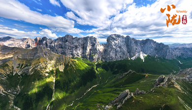 秋天拍了拍“卓尼” 說(shuō)“你真美！”