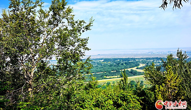 祁連山下深呼吸：廢石山變“綠肺” 續(xù)寫綠色發(fā)展新章