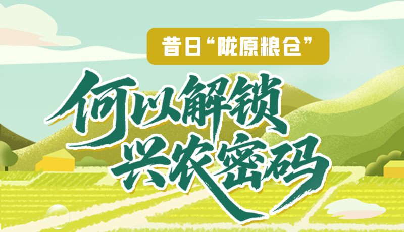 【理響中國·話隴點睛（3）】昔日“隴原糧倉”，何以解鎖“興農(nóng)密碼”